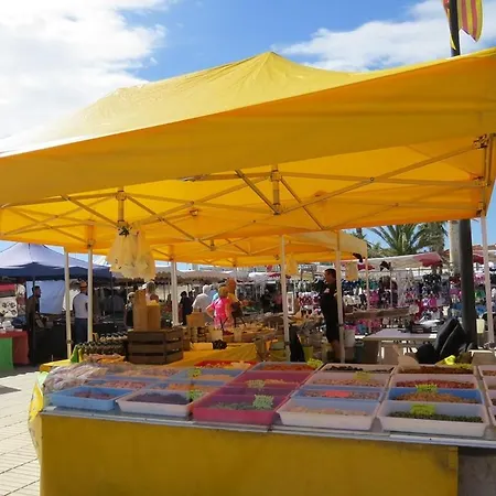 T3 Rez De Chausse - 300 M - Parking Prive 4cl55 Appartement Le Barcarès